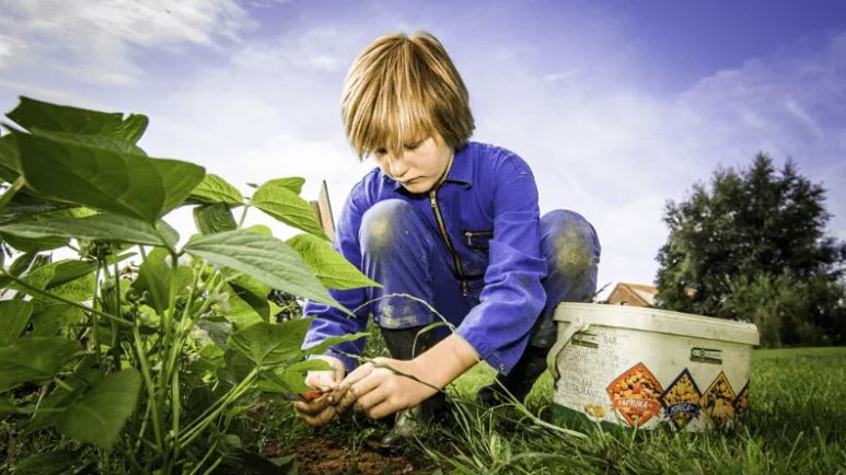 Biologische landbouw