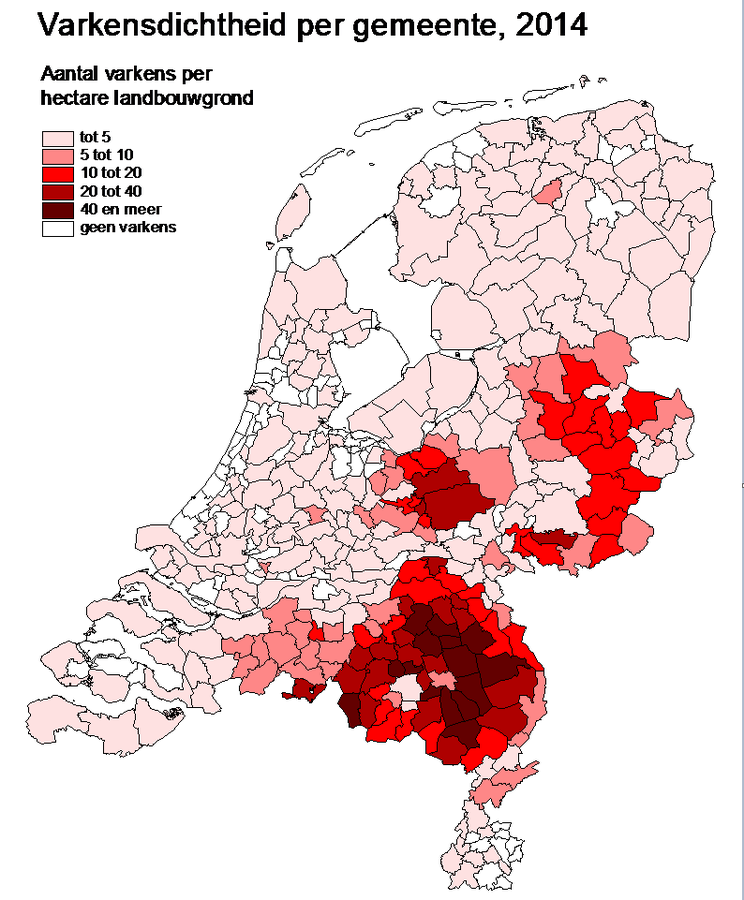 Varkensdichtheid nederland