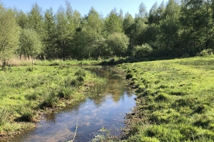 Fracties in Waterschap Limburg stappen uit bestuur vanwege onvoldoende integriteitsbesef